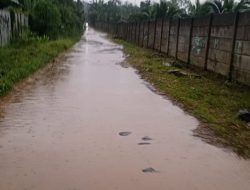 Akses Jalan di Desa Damping Rusak Parah, Warga Harapkan Perbaikan Segera