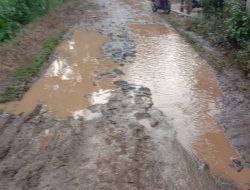 Warga Desa Nayagati Keluhkan Jalan Rusak Parah, Harapkan Perhatian Pemerintah