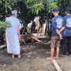 Kebersamaan Warga Sunda di Nabire: Paguyuban Pasundan S3 Laksanakan Kurban Tiga Ekor Sapi
