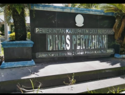 PLT Kabid Sarana dan Prasarana Diduga Sabotase Ketahanan Pangan Nasional di Batang Kuis