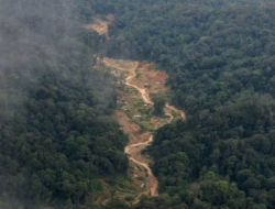 ME Desak Polres Lebak dan Polda Banten Tindak Tegas Bos Penambang Emas Ilegal di Kawasan TNGHS