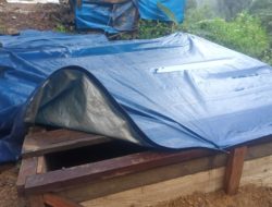 APH. Polres Lebak Polda Banten Diminta Segera Ambil Tindakan Tegas Terkait Dugaan Aktivitas Penambangan dan Penebangan Kayu di Kawasan TNGHS