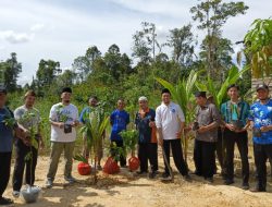 Jemaat Ahmadiyah Sintang Tanam Pohon untuk Negeri dalam Aksi Serentak Nasional
