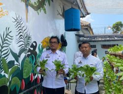 ‎Pakcoy Menghijau, Harapan Bertumbuh Lapas Kalianda Panen Hasil Pembinaan ‎