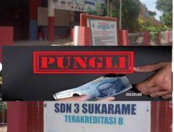 Diduga Ada Pungutan Rp15Ribu Selama Enam Bulan di SDN 3 Sukarame, Sejumlah Wali Murid Mengaku Keberatan