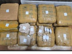 ‎Polda Lampung Ungkap Peredaran Ganja 13,8 Kg di Lampung Selatan, Satu Pengedar Diamankan