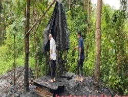 Polda Banten Bongkar 7 Kasus Tambang Ilegal di Lebak, Aktivitas di TNGHS Disorot