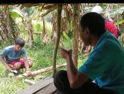 BRIGADE PANGAN JAYA BERSATU PERKUAT SWAKELOLA PERTANIAN DI KECAMATAN CIRINTEN, KABUPATEN LEBAK