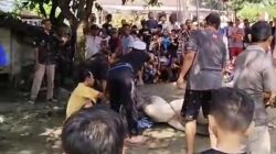Idul Adha 1447 Hijriah Di Masjid Al-Ikhlas Rw 09 Melaksanakan Pemotongan Hewan Kurban 3 Ekor sapi 14 kambing