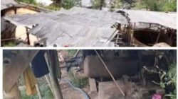 Diduga Tanpa Pengawasan, Pengolahan Emas Gunakan Bahan Beracun Cemari Sungai Cibareno