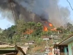 Diduga Dipicu Korsleting Listrik, Kebakaran Hanguskan 51 Rumah Di Komplek Kasepuhan Cipta Mulya Sukabumi